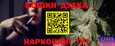 spice Нарткала